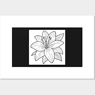 Black And White Lily Design Posters and Art